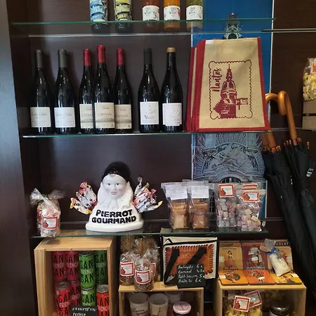 公寓式酒店 雷斯迪南特贝奇洛尔家 南特